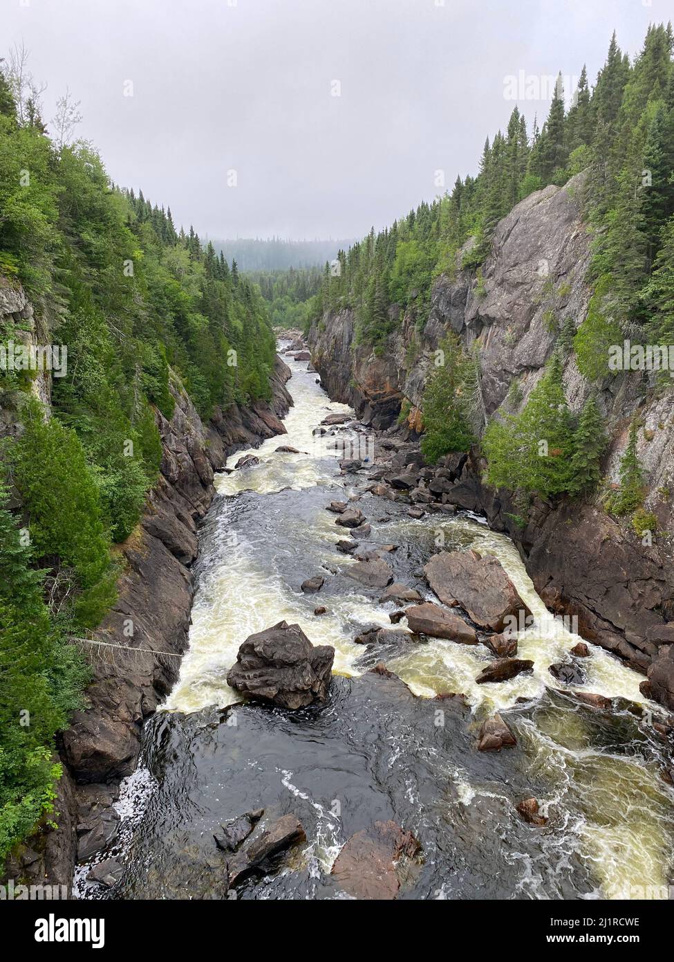Fast-moving river through a steep canyon in a pine forest in northern Ontario Stock Photo