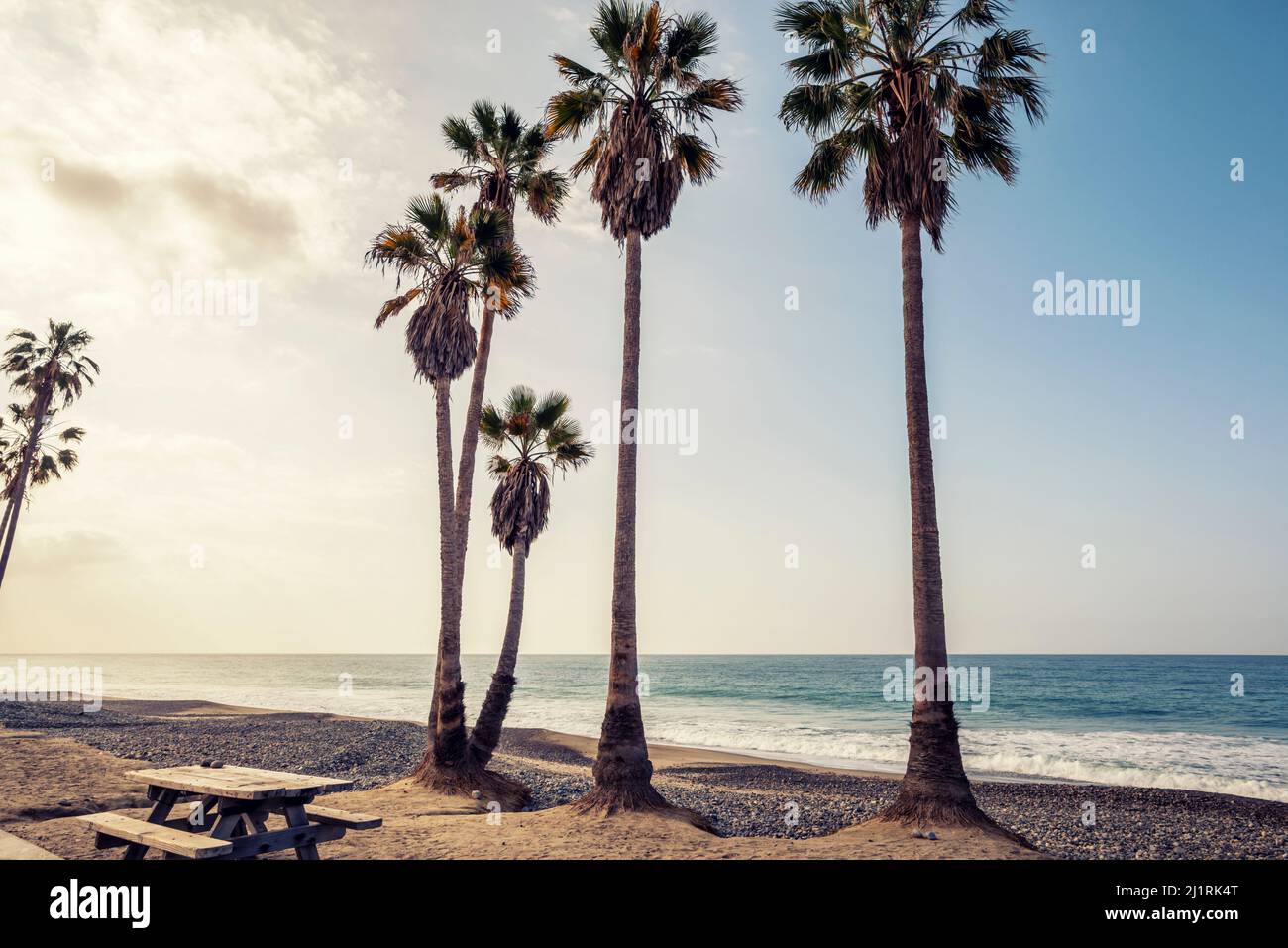 Palm trees at Doheny State Beach. Dana Point, California, USA. Stock Photo