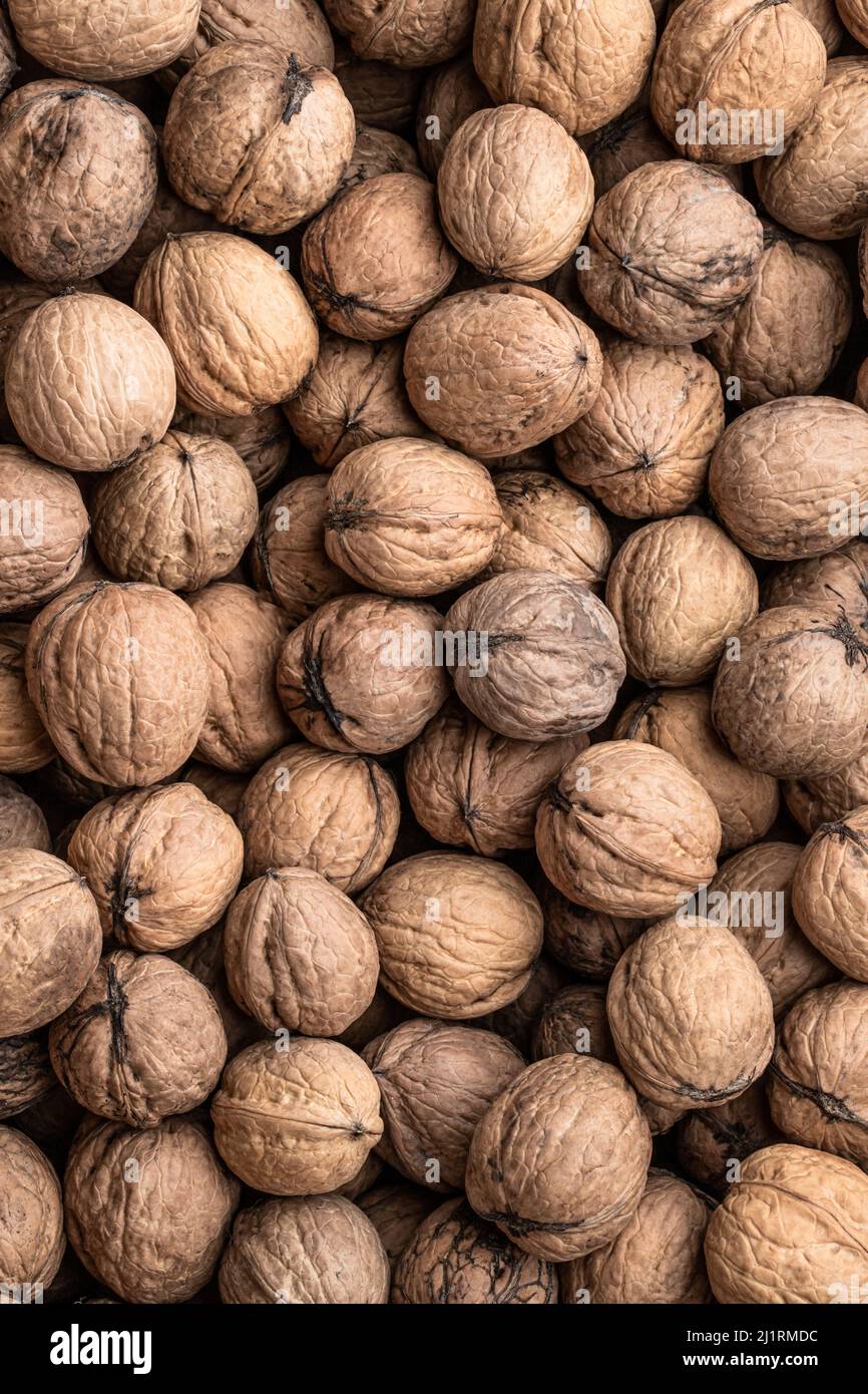 Natural  walnut background pattern texture Stock Photo