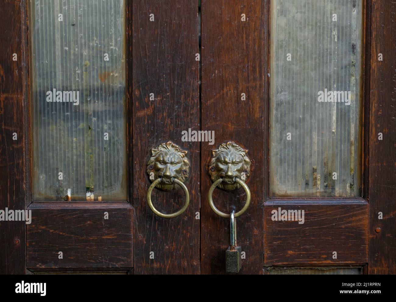 Isolated shot of brass ring handles on an old wooden and glass door in the shape of a lion heads and hanging a brass lock. Stock Photo