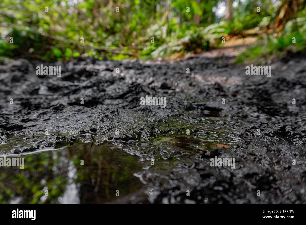 Shiny puddle hi-res stock photography and images - Alamy
