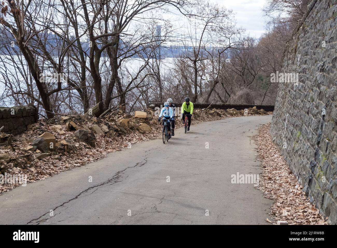 Bicyclists, wearing winter/cold weather clothing, riding bikes uphill