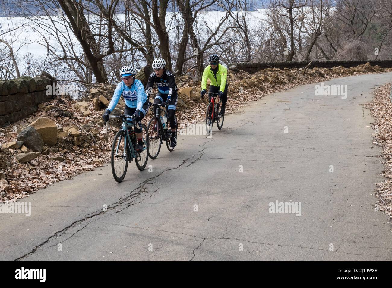 Bicyclists, wearing winter/cold weather clothing, riding bikes uphill along the Henry Hudson Drive in the Palisades Interstate Park, NJ Stock Photo