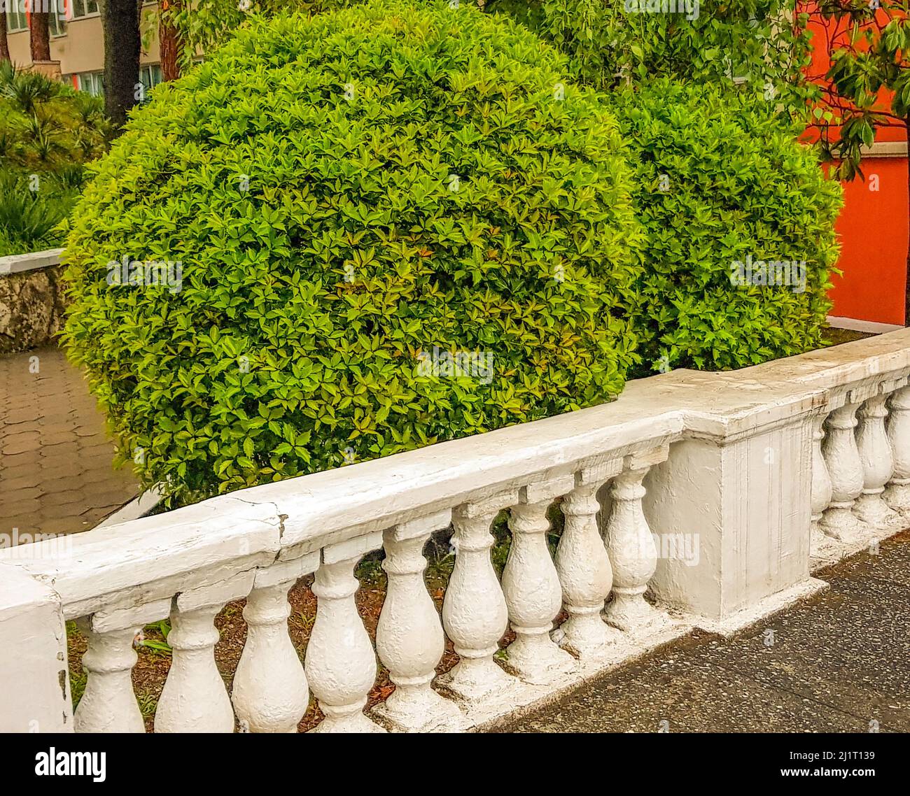 A stone staircase with a railing with balustrades descends into the ...