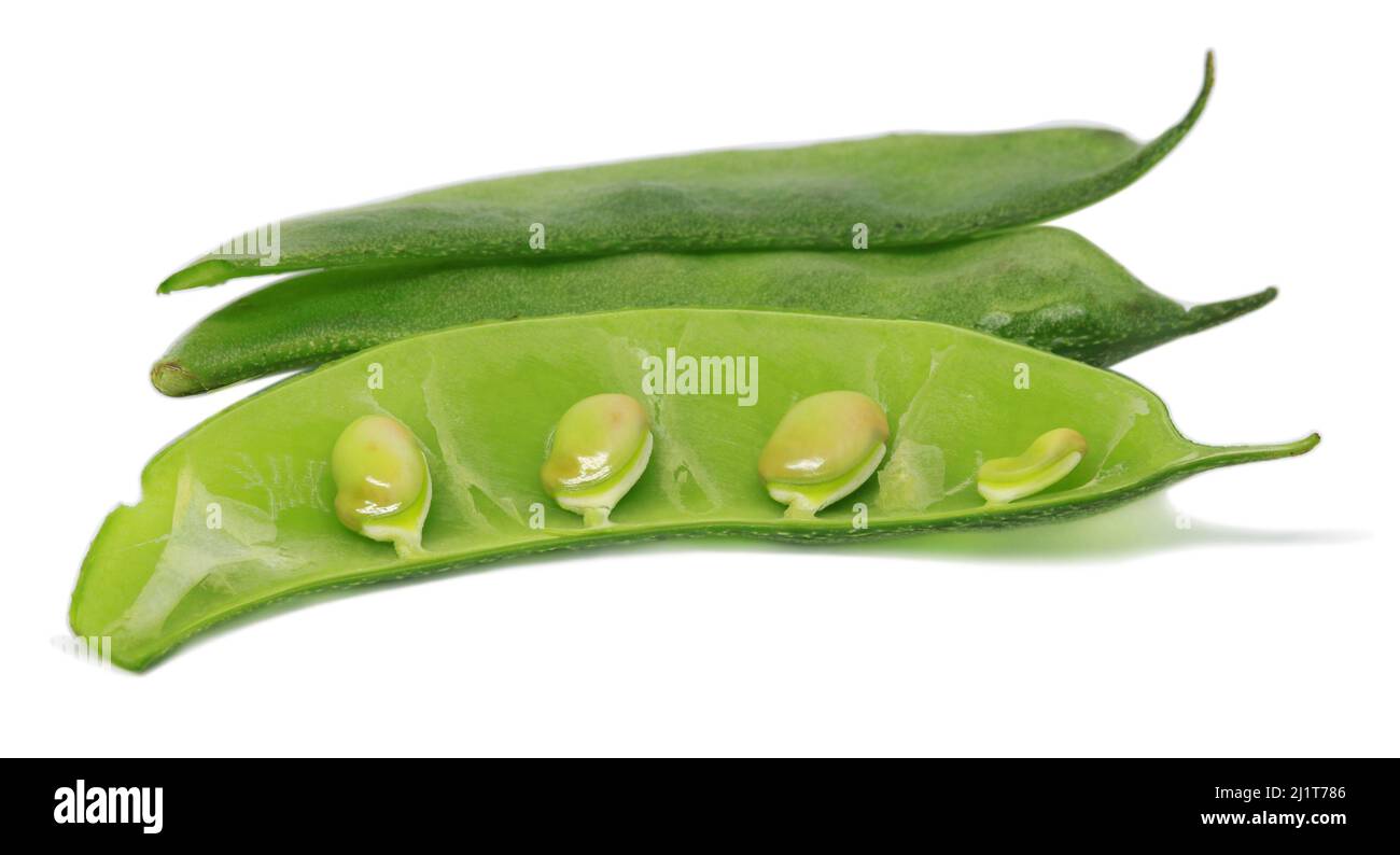 Fresh Hyacinth bean or Indian bean over white background Stock Photo