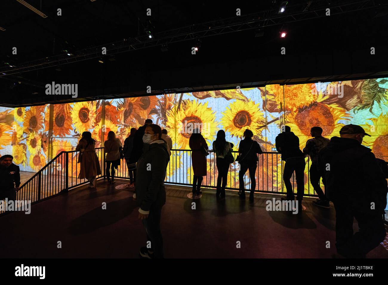 Sunflowers gogh 5 hires stock photography and images Alamy