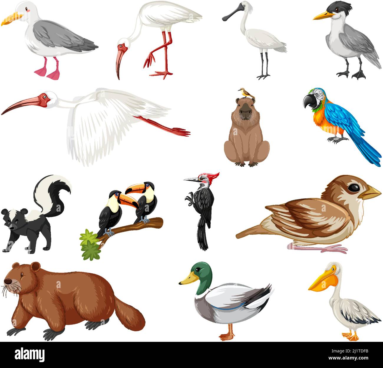 Different kinds of animals collection illustration Stock Vector Image ...