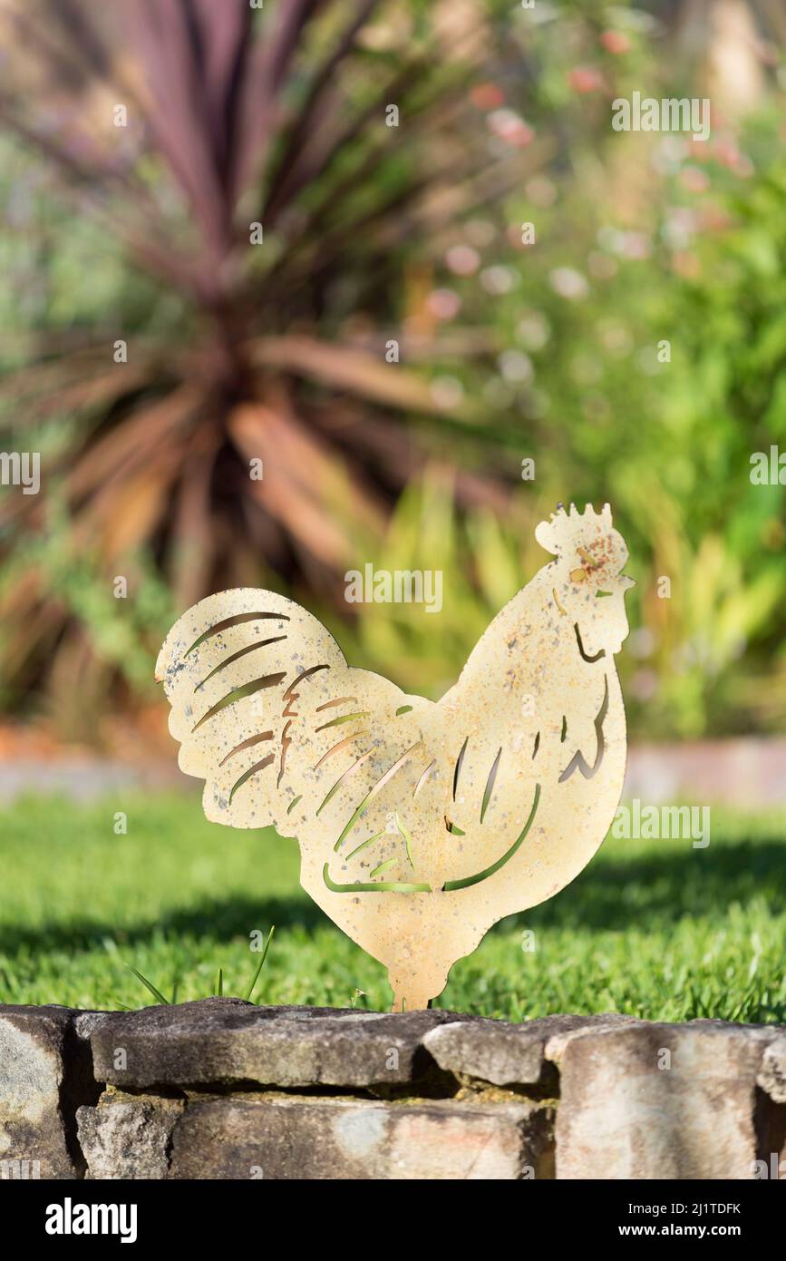 A steel or iron profile of a rooster as a garden ornament in front of a mowed green lawn in a backyard in Sydney, Australia Stock Photo