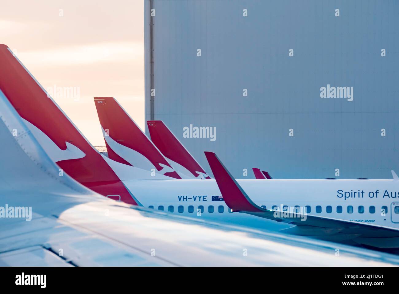 A row of parked Qantas domestic aircraft lined up at Sydney Domestic Airport in the early morning in Australia Stock Photo