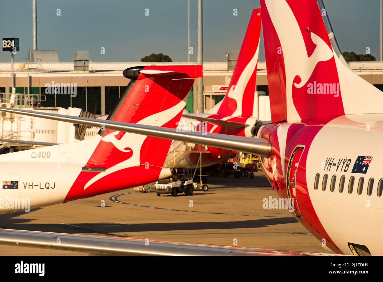 A cluster of parked Qantas domestic aircraft lined up at Melbourne Domestic Airport in the early morning in Australia Stock Photo