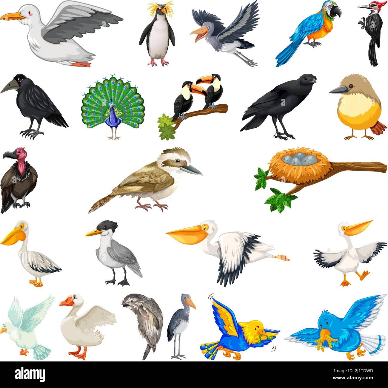 Different kinds of birds collection illustration Stock Vector Image ...