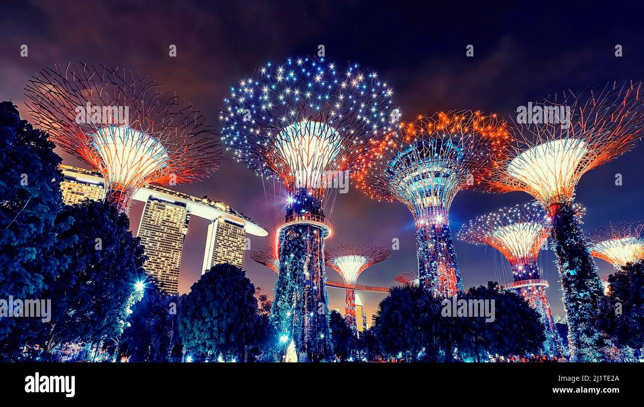 Singapore gardens bay tree hi-res stock photography and images - Alamy