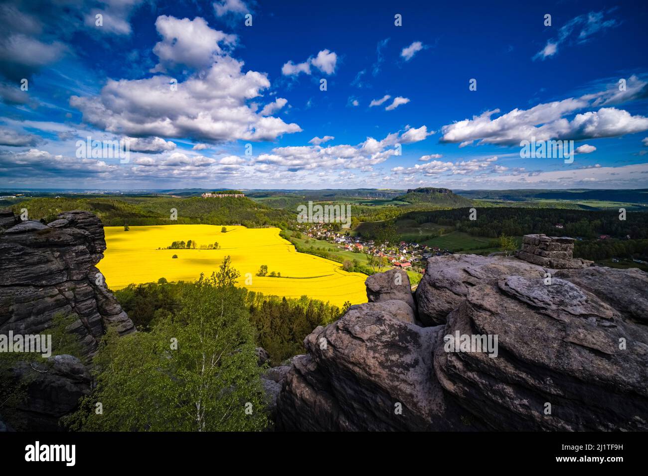 Landscape with rock formations and Rapeseed (Brassica napus) fields in Pfaffenstein area of the Saxon Switzerland National Park. Stock Photo
