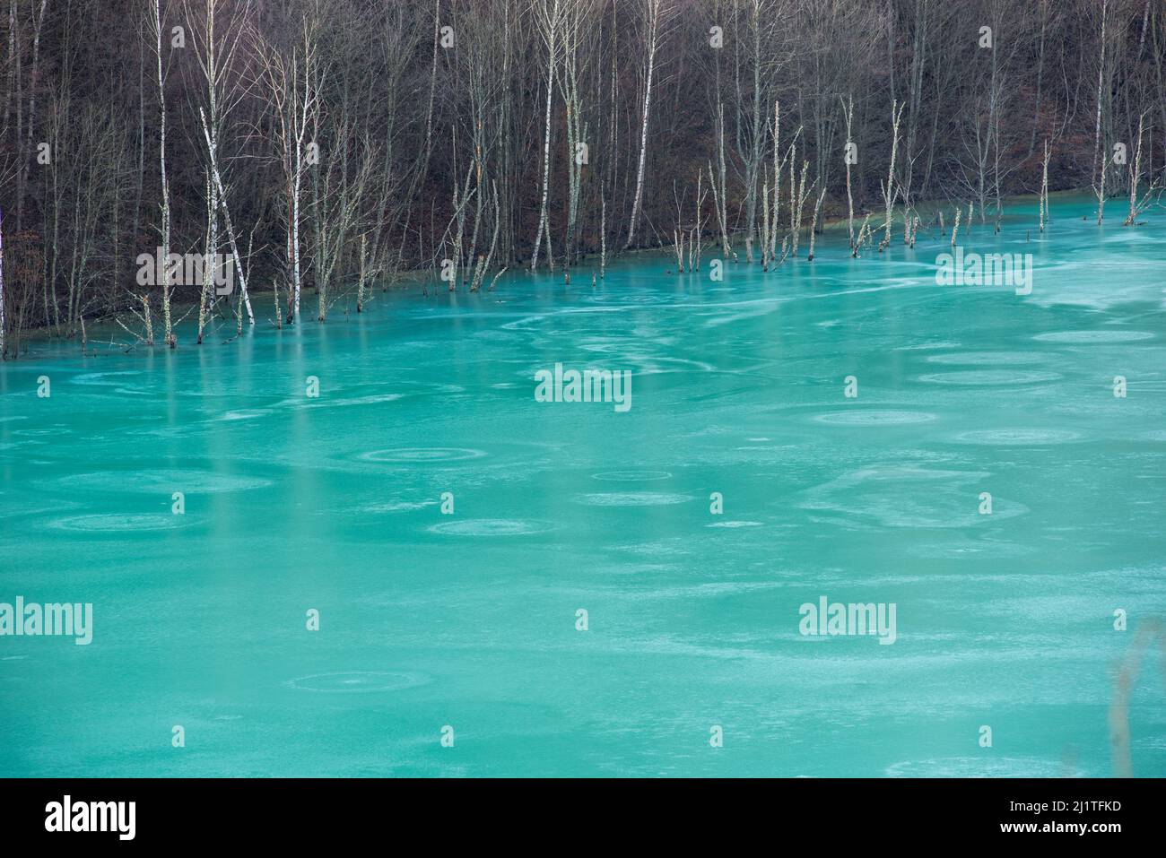 Turquoise waste waters from a copper mine polluting the environment. Geamana decantation lake, Rosia Montana, Romania Stock Photo