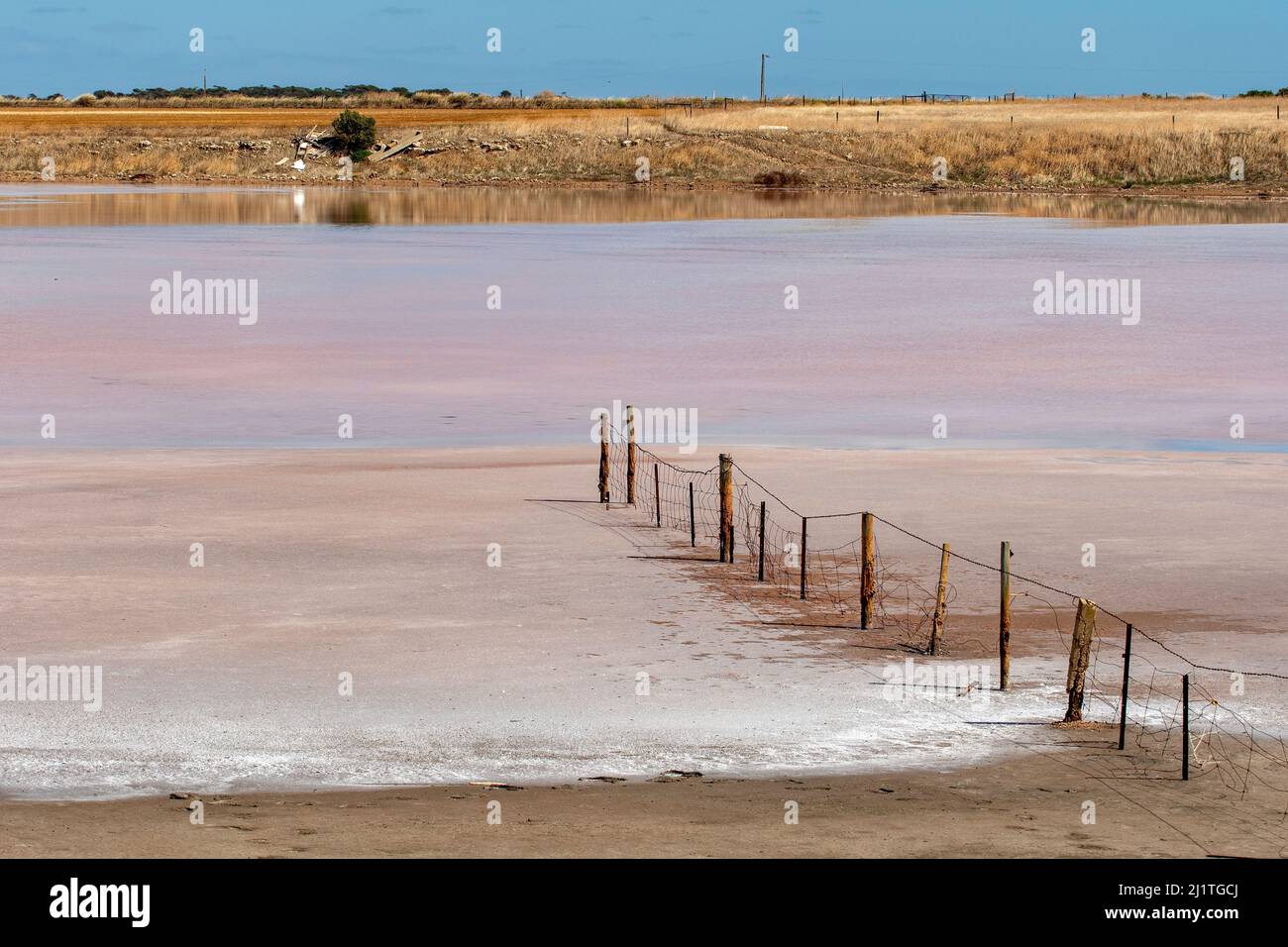 Pink Lake, near Yorketown, South Australia, Australia Stock Photo