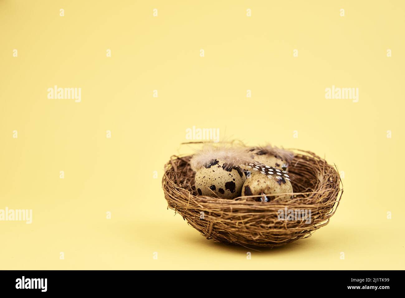 Nest with small eggs on yellow background, Happy Easter card Stock Photo