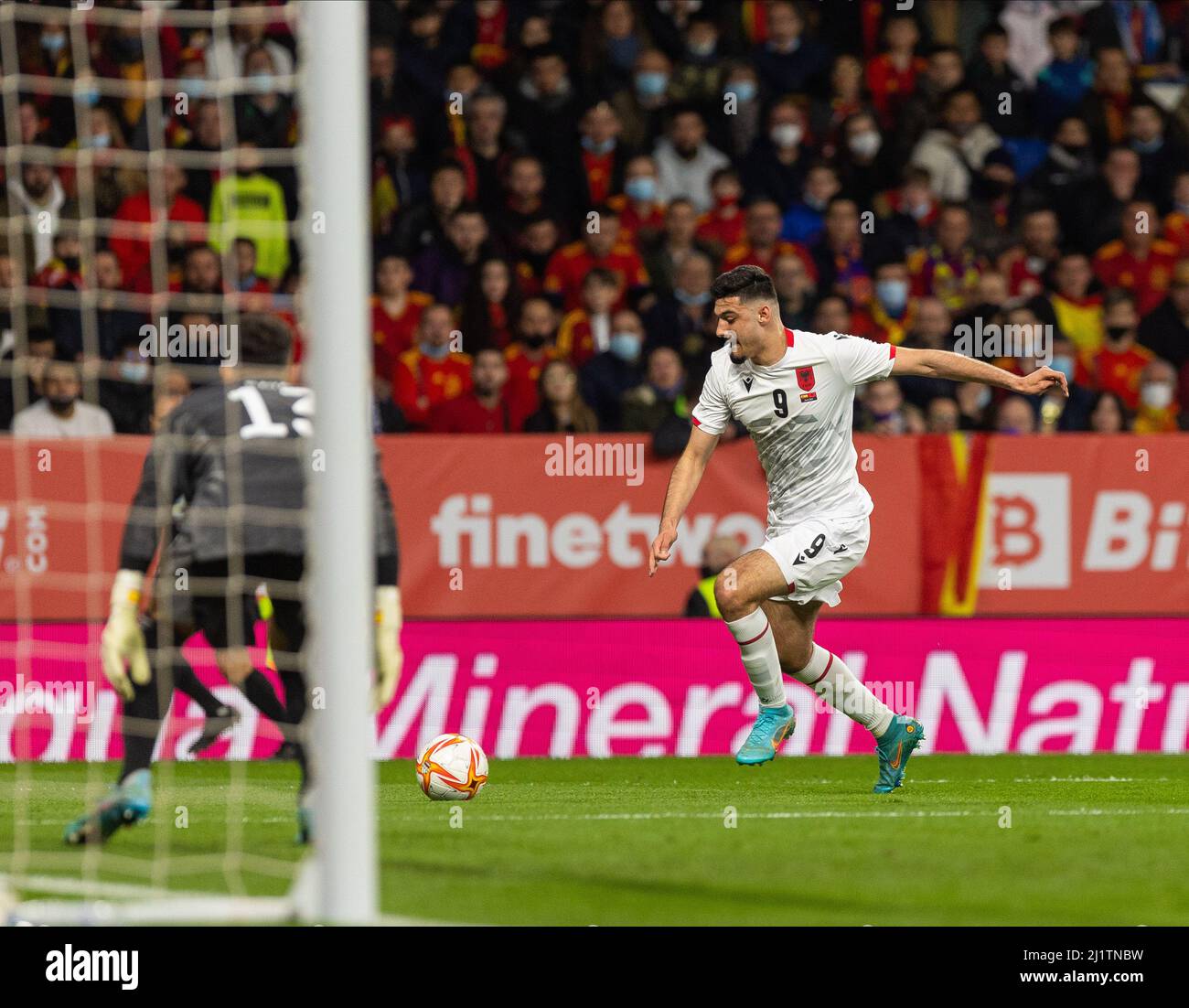Armando Broja of Albania during the International Friendly football