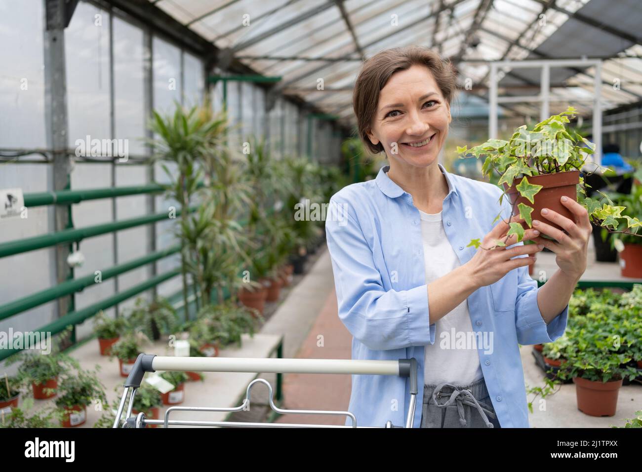 The concept of wholesale houseplants. Attractive young caucasian woman  holding a potted ivy plant in a garden center. A woman buys indoor climbing  Stock Photo - Alamy