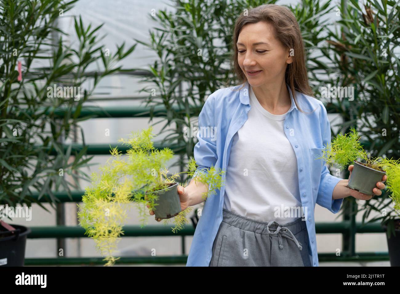 Pretty young woman buys houseplants at the garden center. A woman chooses asparagus for her home in a plant nursery. Planting season. Stock Photo