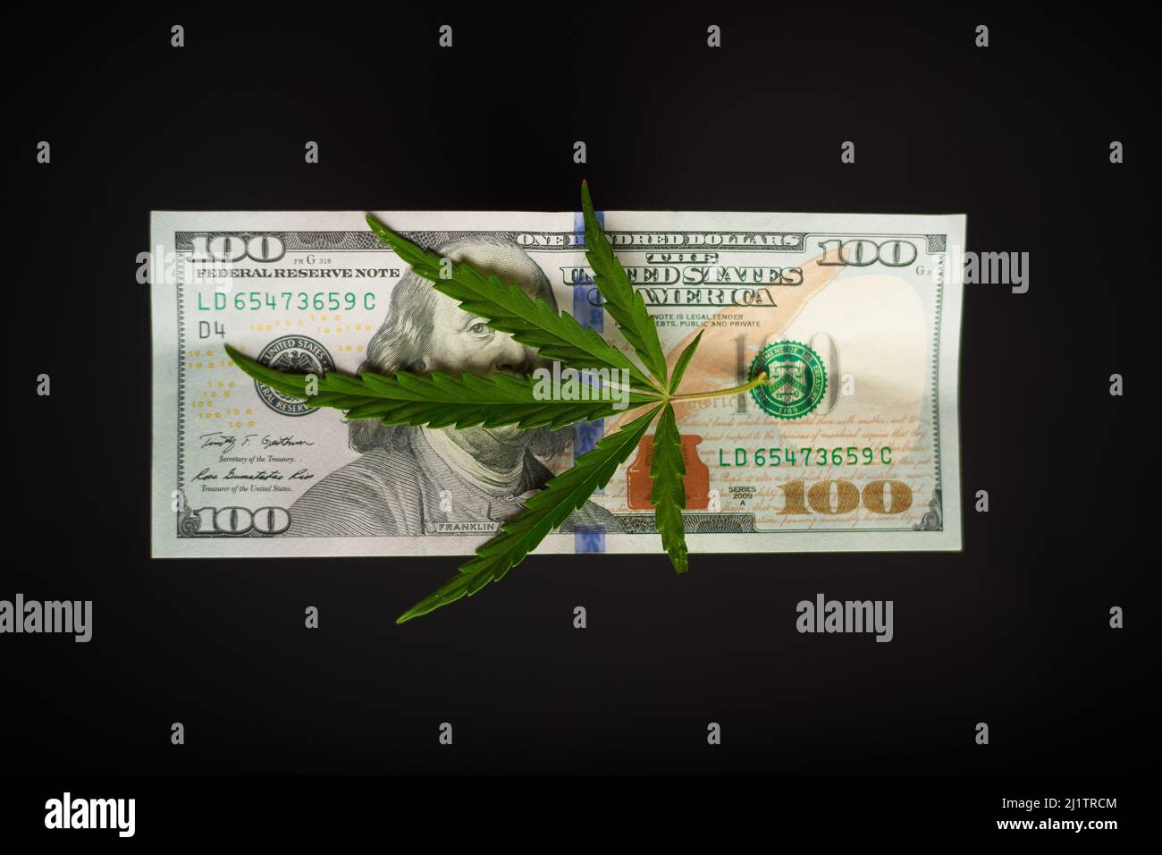 A hemp sheet on a 100 dollar bill, on a black background Stock Photo