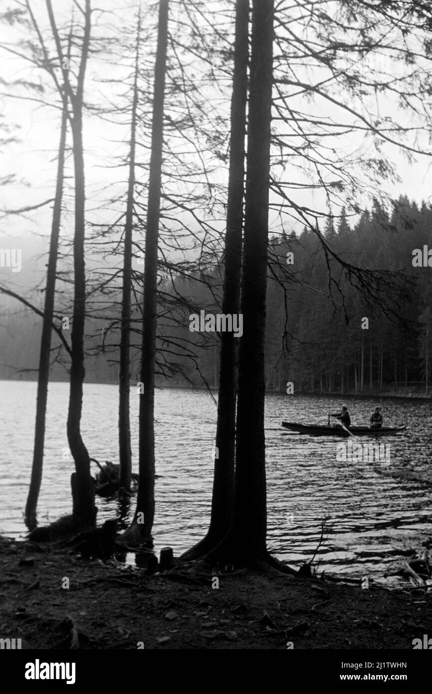 Am Großen Arbersee im Bayerischen Wald, 1958. At Großer Arbersee in the Bavarian Forest, 1958 Am Großen Arbersee im Bayerischen Wald, 1958. At Großer Arbersee in the Bavarian Forest, 1958