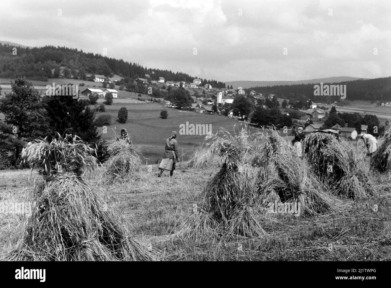 Blick auf Feldarbeiterinnen und den Bayrischen Wald, 1965. View of field workers and the Bavarian Forest, 1965. Stock Photo