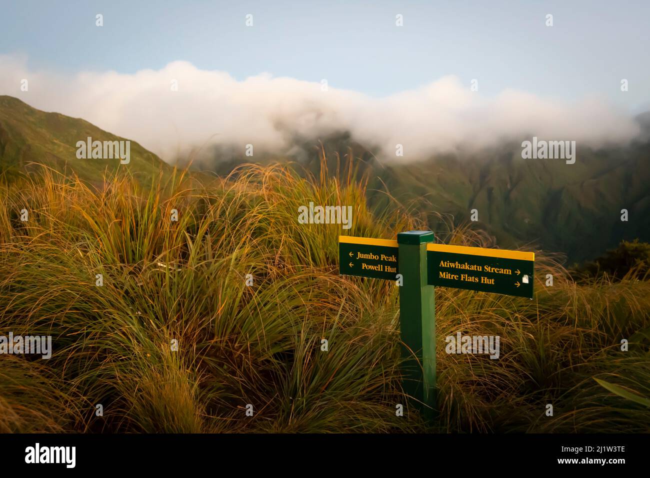 Atiwhakatu stream hi-res stock photography and images - Alamy