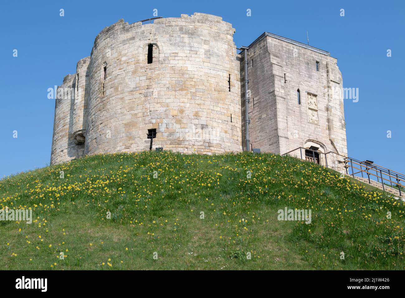 Clifford's Tower (York Castle) in York surrounded by Daffodils in Spring. Stock Photo