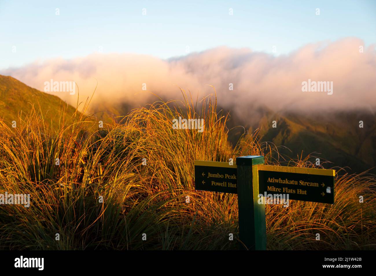 Atiwhakatu stream hi-res stock photography and images - Alamy