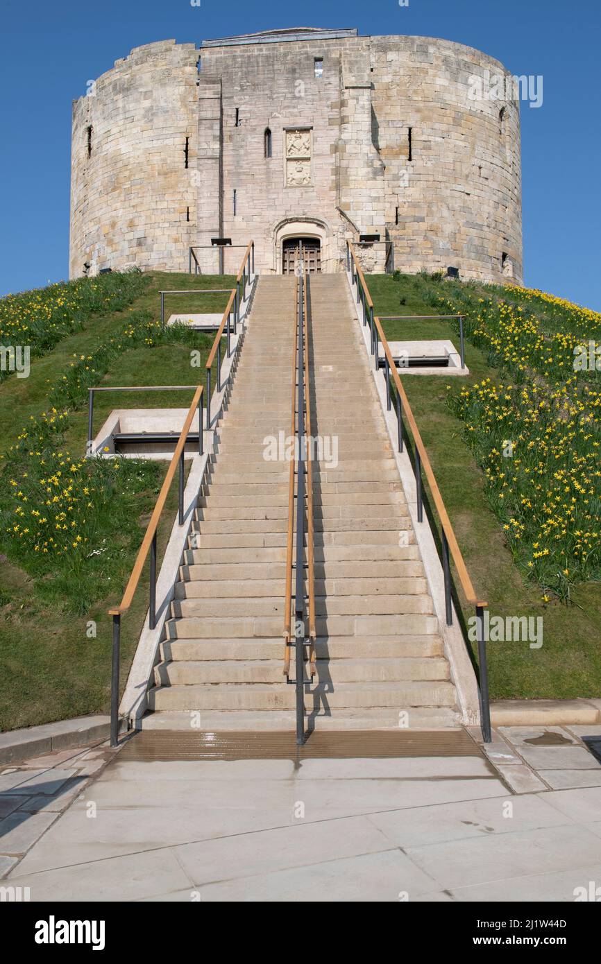 Clifford's Tower (York Castle) entrance in York surrounded by Daffodils in Spring. Stock Photo