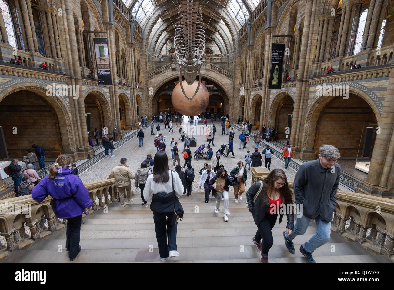 Luke Jerram Mars; people looking at the 7 metre Art Model of Mars by Luke Jerram in the main hall of the Natural History Museum, London UK Stock Photo