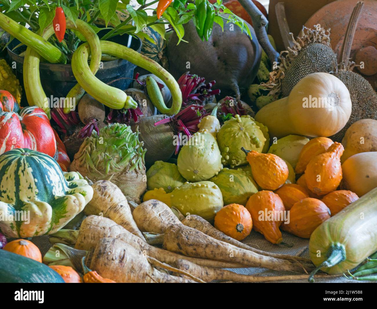 Home-grown fruit and vegetables harvested in the autumn. October. Stock Photo