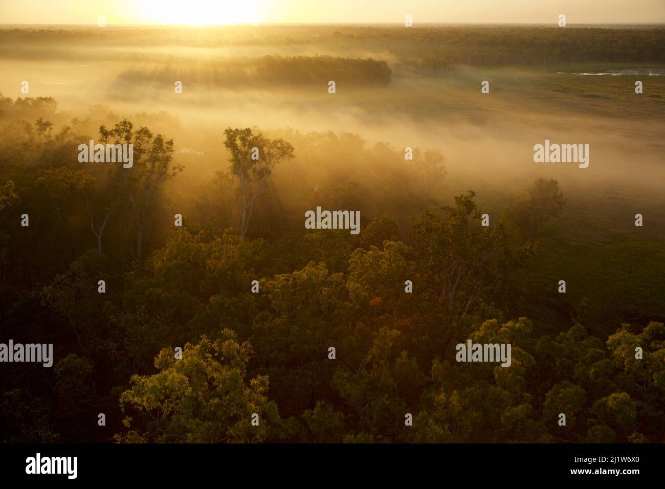 Sunrise illuminates mist over Green Swamp.  Piccaninny Plains Sanctuary Cape York Peninsula, Queensland, Australia. September 2012 Stock Photo