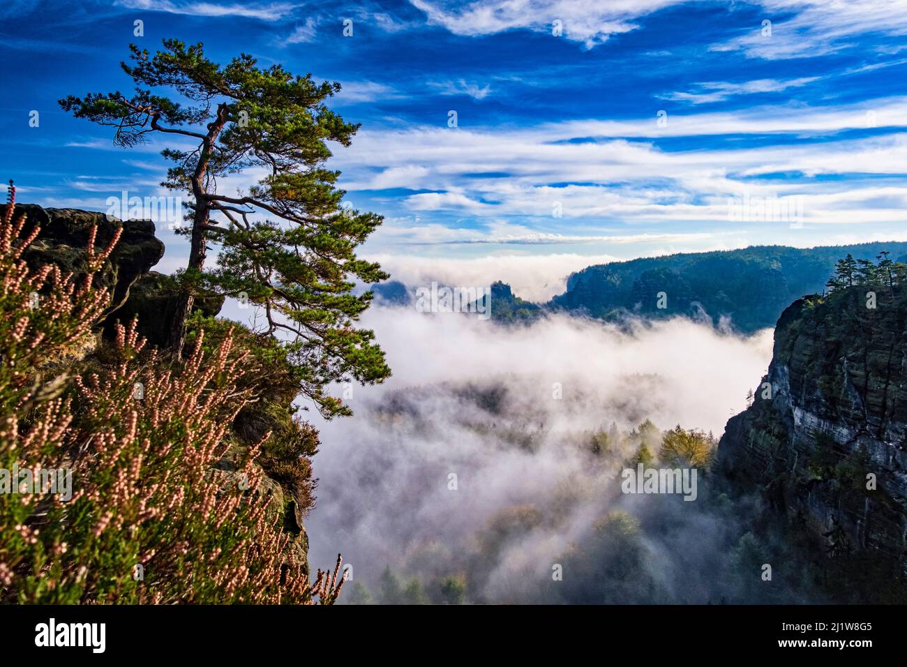Landscape with rock formations and the summit Winterstein in Zschand area of the Saxon Switzerland National Park covered in fog at sunrise. Stock Photo
