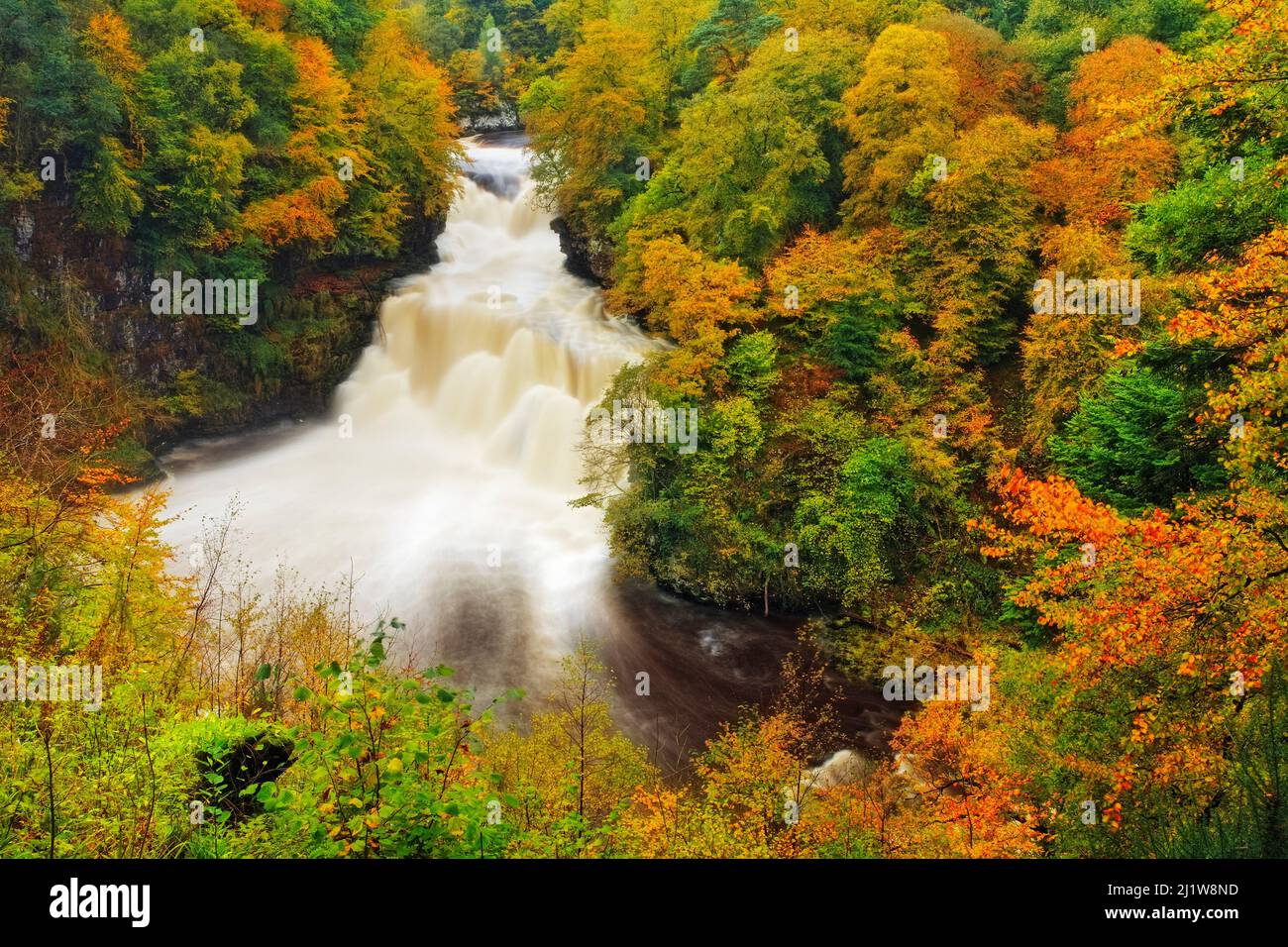 Autumn colour around the Falls of Clyde, Lanarkshire, Scotland, UK, October 2006. Stock Photo