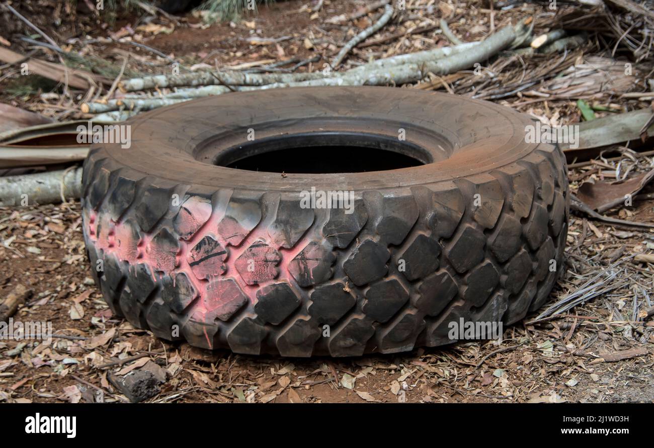 Large worn-out tyre at waste-disposal site with pink painted arrow to direct traffic. Re-purposed scrap tyre at Australian rubbish tip. Stock Photo