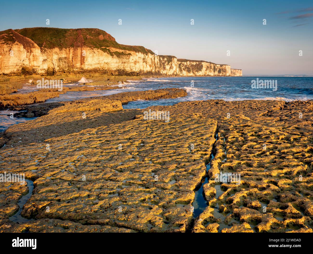 Low tide and Early morning light in Thornwick Bay on the Yorkshire coast UK. Stock Photo