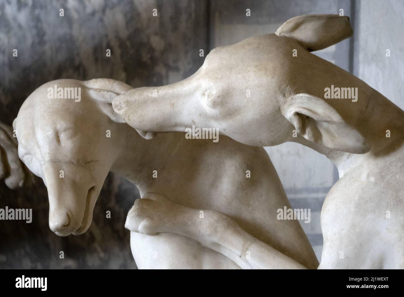 Roman statue animal old marble sculpture detail dog Stock Photo - Alamy
