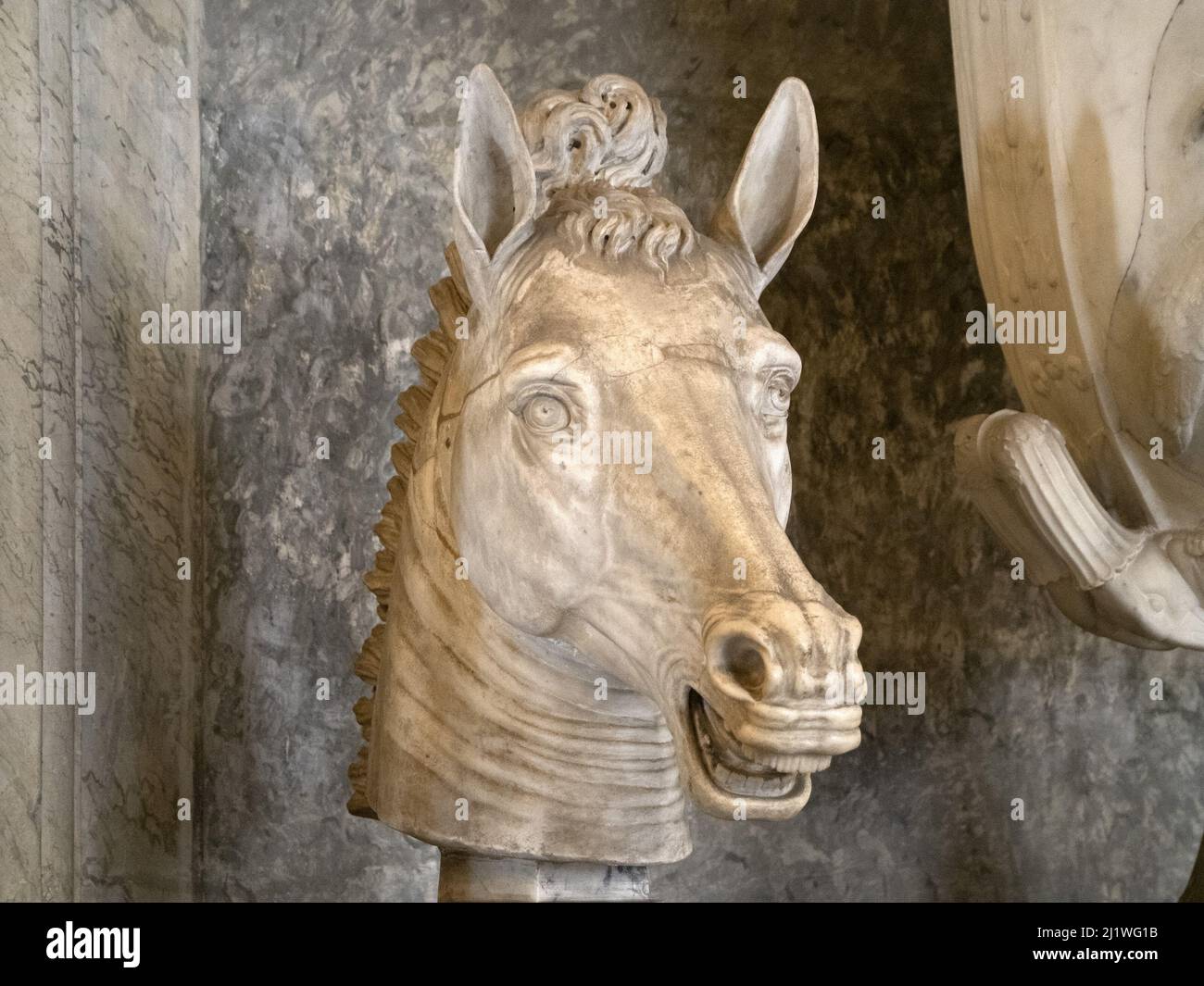 Roman statue animal old marble sculpture detail horse Stock Photo - Alamy