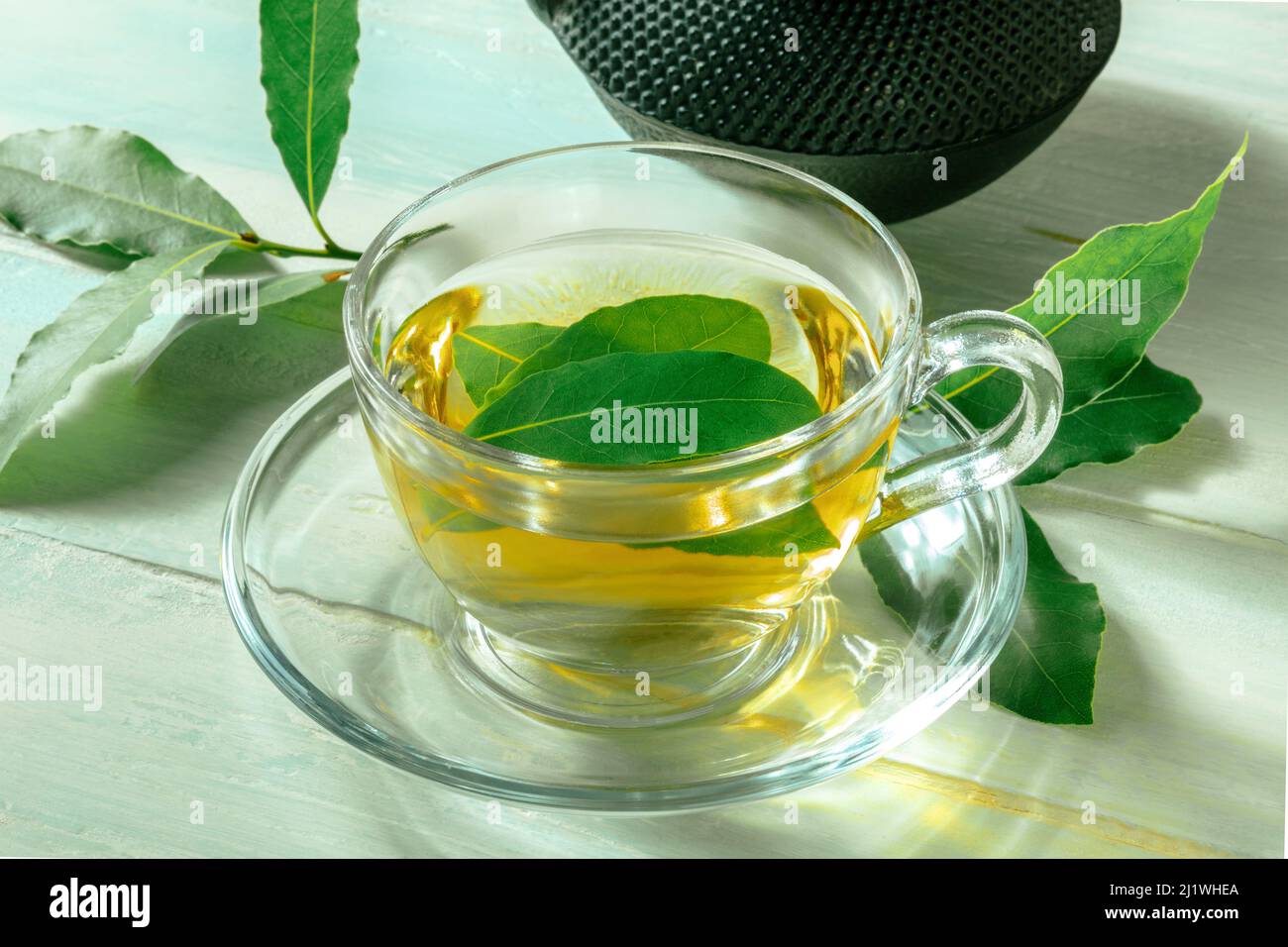 Bay leaf tea. Fresh laurel leaves infusion with a cup and a teapot, on