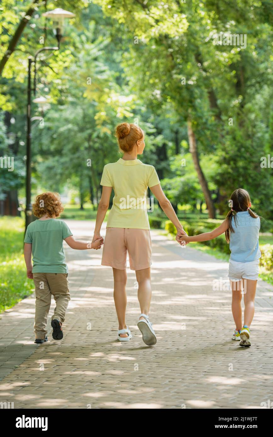 back view of woman with kids holding hands while walking in park Stock ...