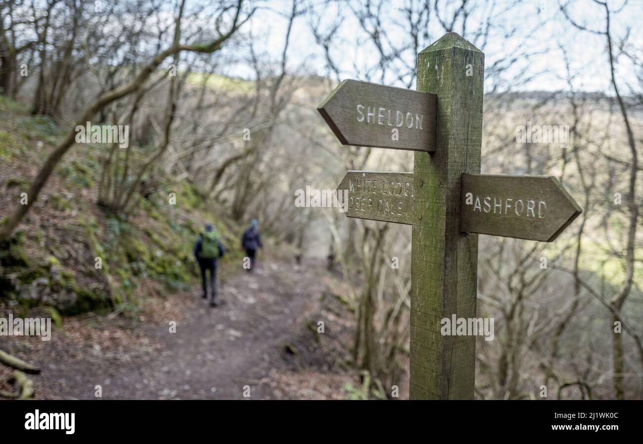 Wood sign posts showing footpaths along the Monsal dale trail, Derbyshire. Stock Photo