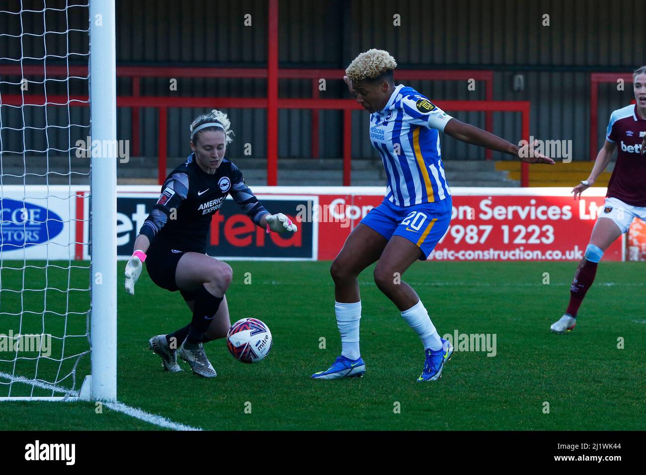 brighton & hove albion wfc