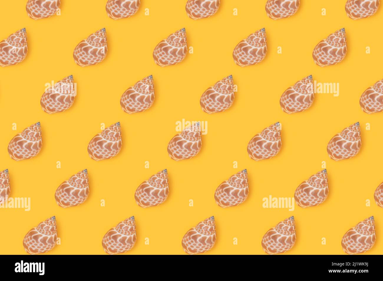 Repetitive pattern made from seashells. Creative layout on a yellow background. Summer concept. Stock Photo