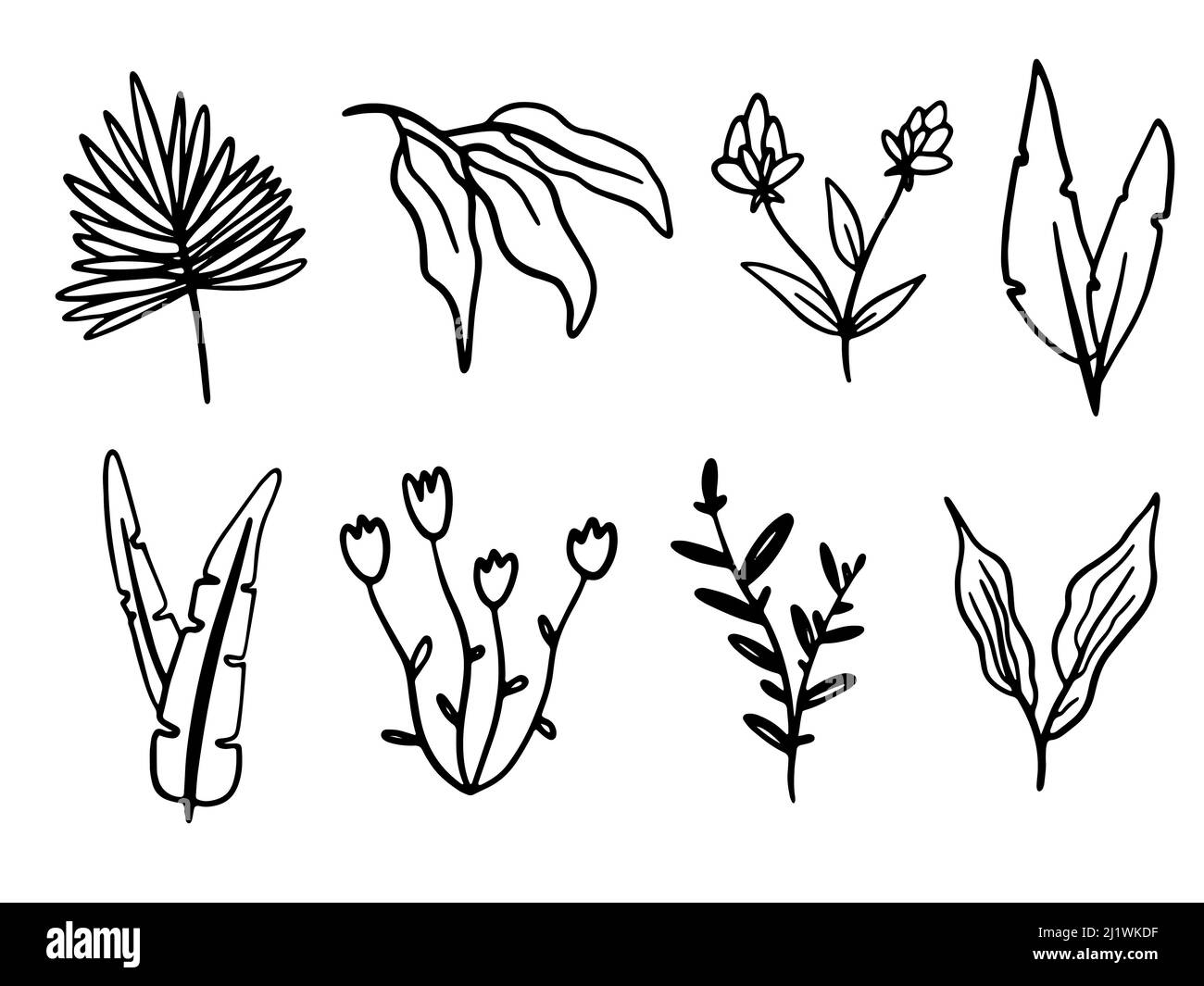Vector collection Line art of flowers and plants. Decorative beauty ...