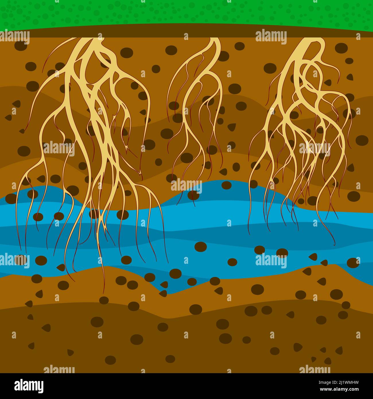 Roots in ground. Plant roots under soil.Soil layers.Dirt layers, underground water and root.Cross section ground slice.Land layer with roots and earth Stock Vector