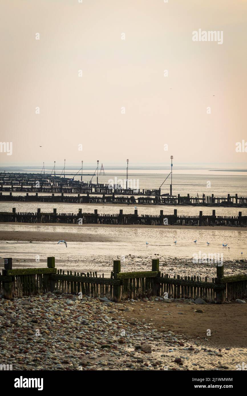 Low Tide Exposing Sea Defences at Hunstanton on a March Evening Stock Photo