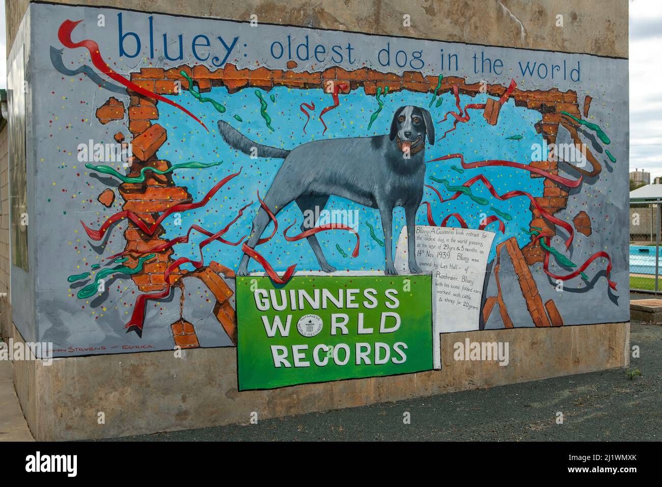 Bluey Oldest Dog Street Art, Rochester, Victoria, Australia Stock Photo