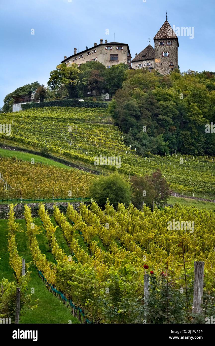 The vineyards of the village of Prissian/Prissiano overlooked by the medieval Wehrburg castle. Tisens/Tesimo, Bolzano province, Alto-Adige, Italy. Stock Photo