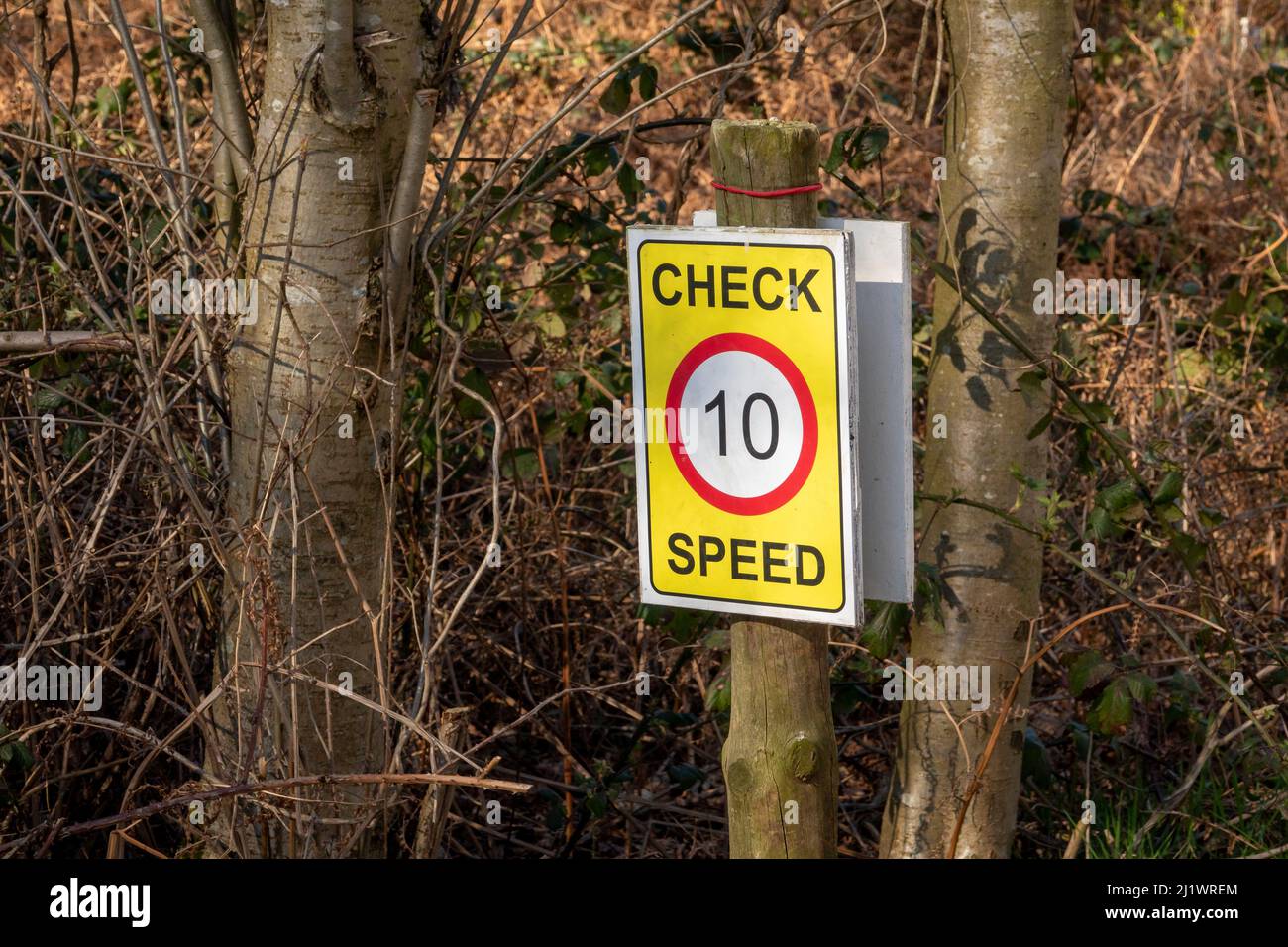 A speed check sign fixed to a tree on a country lane indicating 10 mph
